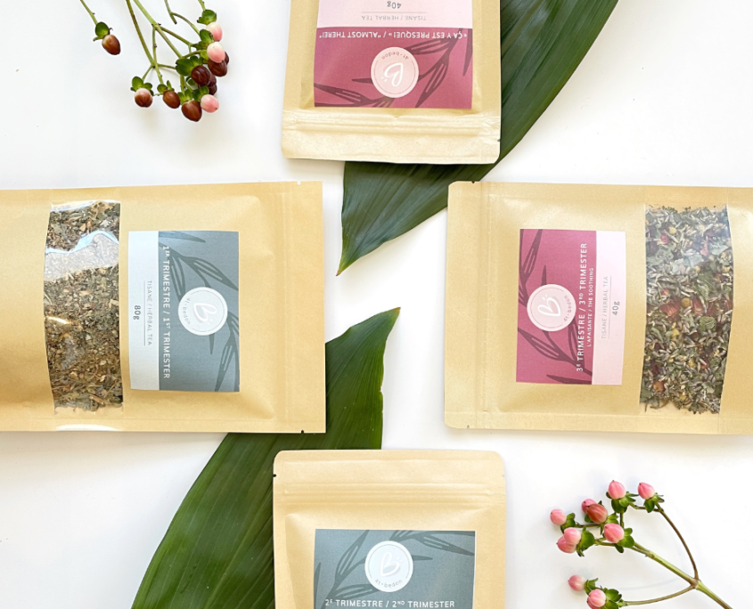 Comment préparer et réussir ses tisanes, chaudes ou froides ?